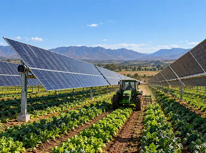 Agrivoltaic Systems in South Africa